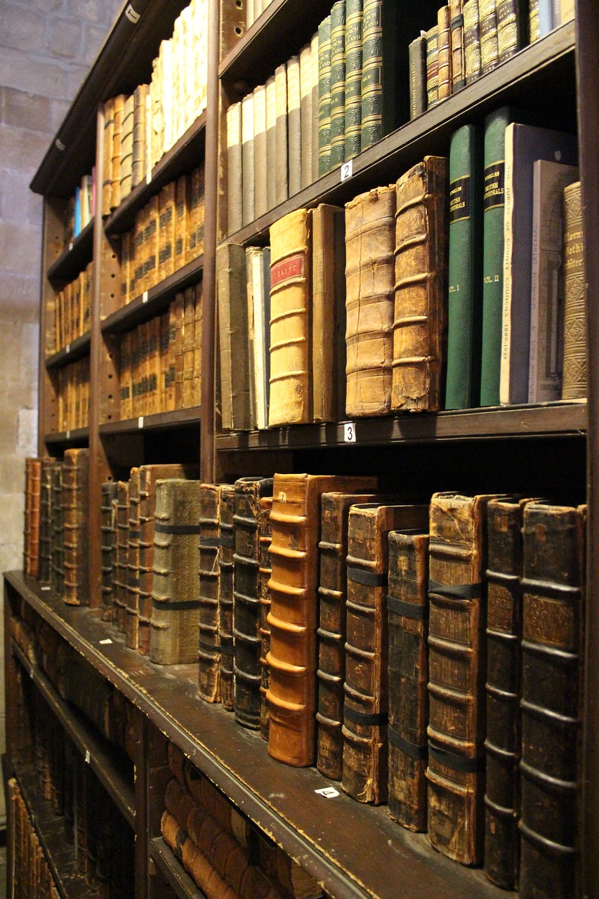 books, library, library books, education, literature, reading, learn, read, studying, school, shelf, wisdom, hardcover, bookshelves, knowledge, paper, bookshelf, university, educational, study, information, literary, brown school, brown education, brown library, brown learning, brown reading, brown study, brown information, brown studying, brown knowledge, library, bookshelves, bookshelves, bookshelves, bookshelves, bookshelves, bookshelf, bookshelf, study